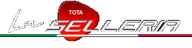 logo selleria interni in pelle auto e moto